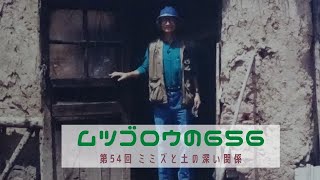 第54回　ミミズと土の深い関係