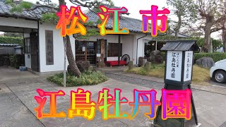 師走の散策 12月20日 金曜 曇りのち晴れ 冬の道筋 #松江市 江島牡丹園 日本 鳥取県境港市渡町 竜ヶ山公園 @WalkingYoshi