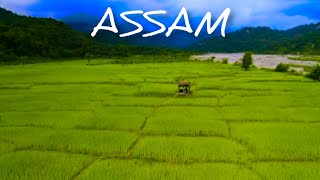 ASSAM Drone Shots beautiful place (no copyright Nepal music 2.O)#drones#flyingdrone #fly#viral