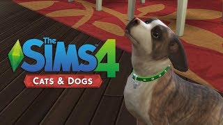 Updating Simsie Save for The Sims 4: Cats & Dogs (Streamed 11/14/17)