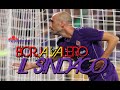 ⑳ Borja Valero 2026 ● Il Sindaco