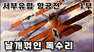 서부유럽항공전 1부  ;  날개꺾인 독수리