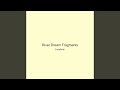 River Dream Fragments
