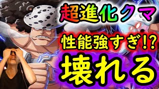 [トレクル]緊急事態!? クマ...性能ぶっ壊れる...神超進化がすぎる件[OPTC]