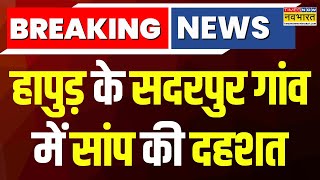 Breaking News : Hapur के Sadarpur गांव में एक और महिला को सांप के काटने का शक | Hindi News