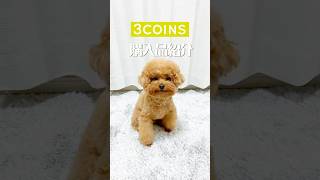 スリコ購入品紹介　#トイプードル #犬 #犬のいる暮らし #おすすめ #3coins購入品 #3coins #初投稿