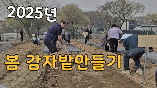 2025년, 주말농장 봄 감자밭만들기 총정리