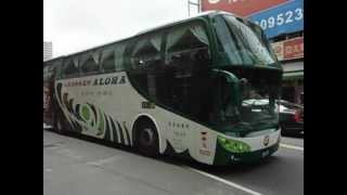 阿羅哈SCANIA K380