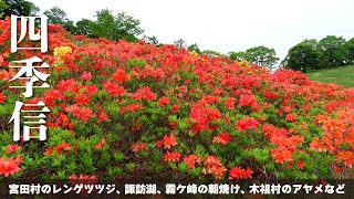 【地方発・長野】四季信