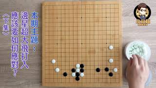 【圍棋實戰常型】第七型//邊星超大飛打入攻防戰//潘世緣7段