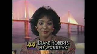 Diane Roberts WTOG 44 News at Ten Promo
