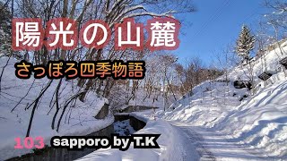 陽光の山麓　さっぽろ四季物語