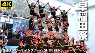 【早稲田祭 2024】早稲田大学男子チアリーディングチーム ”SHOCKERS” / 「空飛ぶ早稲田生」チアリーダー 男子チア Men's Cheerleading