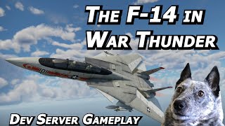 TOTALLY UNBIASED F-14 Tomcat Impressions in War Thunder's Dev Server - Real Pilot Plays War Thunder