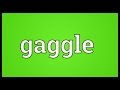 Gaggle Meaning