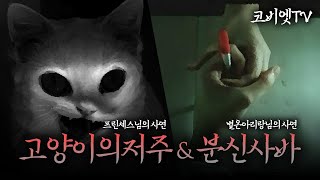 😱무서운이야기 실화😱 :: 고양이의 저주 \u0026 분신사바 소름썰.. [프린세스님/별온아리랑님 제보사연 l 공포라디오 l 코비엣TV ]