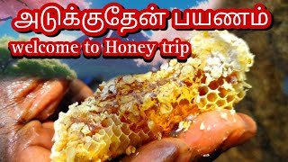 பாறைகள் இடையில் அடுக்குதேன்... #honeycollections #travel #youtubevideos