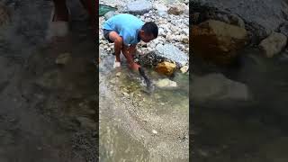 I'm good at throwing stones at fish, right? 头砸鱼我厉害吧 #xiaomei  #fishingfun #fishinglife #rurallife