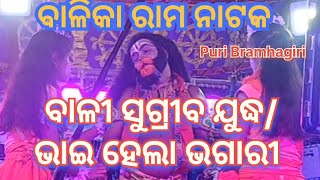 ବାଳୀ ସୁଗ୍ରୀବ ଯୁଦ୍ଧ।। ଓଡ଼ିଆ ରାମ ନାଟକ।। ଓଡ଼ିଆ ବାଳିକା ରାମ ନାଟକ।। ପୁରୀ ବ୍ରହ୍ମଗିରି।। ଓଡ଼ିଆ ନାଟକ।।