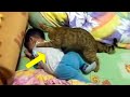 Newborn Baby Always Cried  At Night, But What The Cat Did  Caught On Camera Was Amazing!