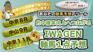 IWAGENの軸馬1点予想！アンケート投票レース予想公開！【中京８R・中山９R・中京１１RチャンピオンズC GⅠ】