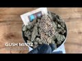 Gush Mintz THCa Flower Review