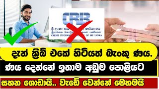 මේකනම් සුපිරි වැඩක් | පොඩි මිනිහට බැකු ණයක් |  BANK LOANS IN SRI LANKA