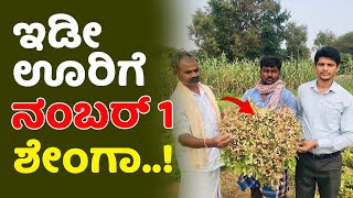 ಶೇಂಗಾ / ನೆಲಗಡಲೆ ಬೆಳೆದರೆ ಹೀಗೆ ಬೆಳೆಯಬೇಕು | Ground nut cultivation trick #organicfarming