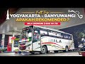 GAGAL NAIK BUS INCARAN ‼️ Jogjakarta - Banyuwangi Full Trip Naik Bus Mila Ekonomi.