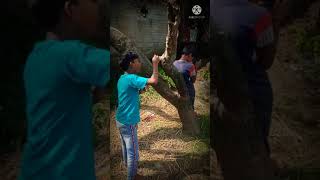 Purulia Comedy Video