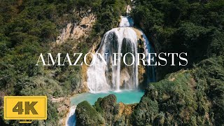 4K Video Ultra HD - Amazon 4k - The World's Largest Tropical Rainforest - Relaxing Music