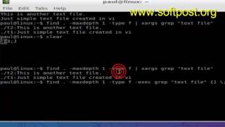 Difference between exec and xargs in linux
