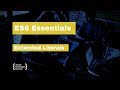 ES6 Essentials 09: Extended Literals