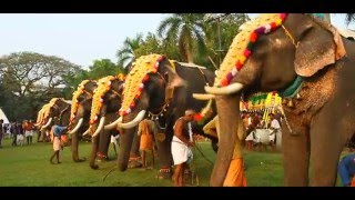 Ernakulam Siva Temple 2016