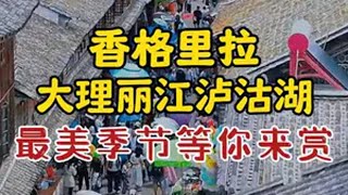 大理丽江香格里拉泸沽湖最美季节等你来赏！云南旅游攻略 云南旅游推荐 旅行推荐官 云南跟团旅游看这里 云南旅游