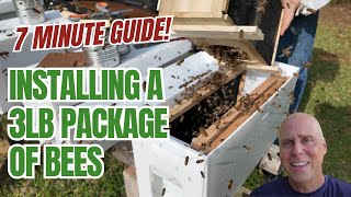 Package of Bees? Here's Exactly How to Install Them