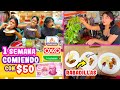 1 SEMANA COMIENDO CON 50 PESOS con EL TEAM MERLIN🌮 ¿Qué Tienda Fue Más Barata? | CONNY MERLIN