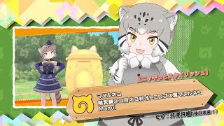 『けものフレンズ３』フレンズ紹介PV【ニャギっとスタイリッシュ】マヌルネコ（CV後日実装版）