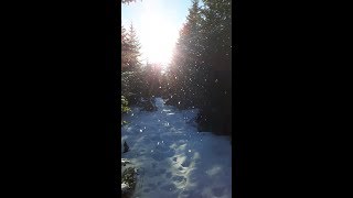 Winter Bottle Hunting ~ Blacks Harbour New Brunswick Canada