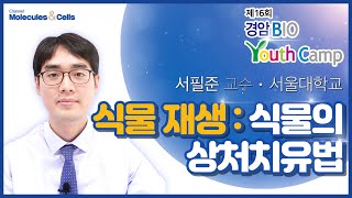 [2020 경암바이오유스캠프-식물분야 2] 식물 재생 : 식물의 상처치유법