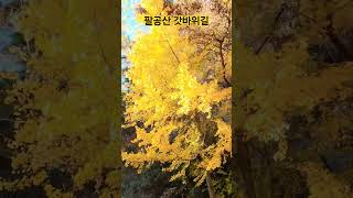 #팔공산 #갓바위 #마이진