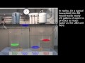 Comparing a LINX® Drinking Water System to a Reverse Osmosis Drinking Water System