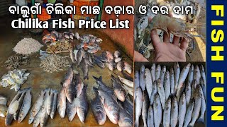 Balugaon chilika fish market and price list of prawn shrimp crab