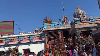 Palani Murugan Temple | பழனி முருகன் கோவிலுக்கு நடந்தே செல்லும் எடப்பாடி பக்தர்கள் | Edappadi