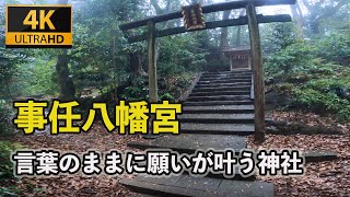 【４K映像 事任八幡宮 遠隔参拝】※言葉のままに願いが叶う最強神社 最強金運波動 究極のパワースポット