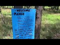 Pick your own sunflower farm in Victoria Australia 🌻 The farm is only 1 hour drive from Melb CBD