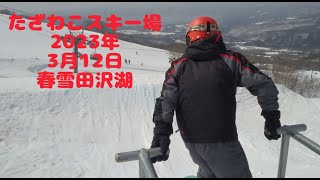 田沢湖スキー場2023年3月12日春雪田沢湖