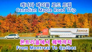 캐나다 메이플 로드 트립(Canadian Maple Road Trip)/몬트리올에서 퀘벡까지(From Montreal To Québec), 캐나다 여행(Canada Travel)