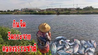 ทั้งหามทั้งหาบ กินจัดวัดกระจายตกปลาธรรมชาติ#fishing #ตกปลา #shortvideo #fish #carpfishing