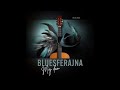 bluesferajna mój dom radio edit